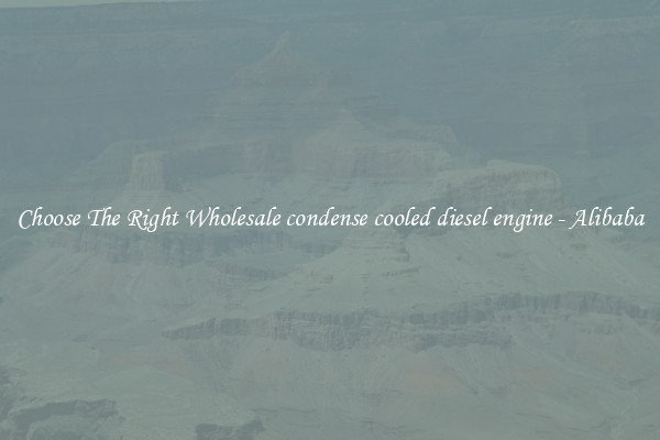 Choose The Right Wholesale condense cooled diesel engine - Alibaba