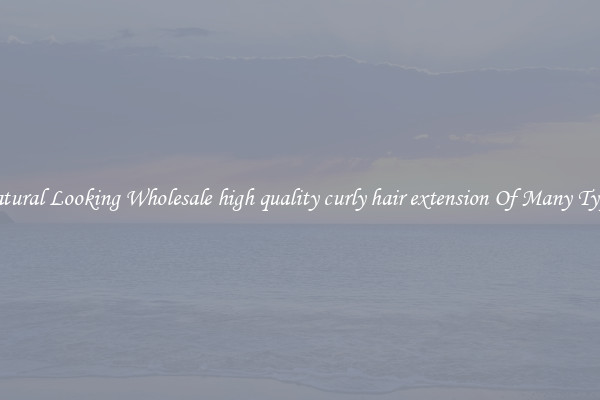 Natural Looking Wholesale high quality curly hair extension Of Many Types