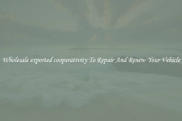 Wholesale exported cooperativity To Repair And Renew Your Vehicle