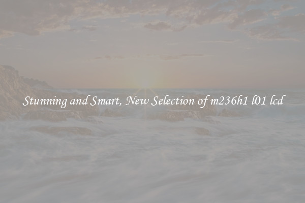 Stunning and Smart, New Selection of m236h1 l01 lcd