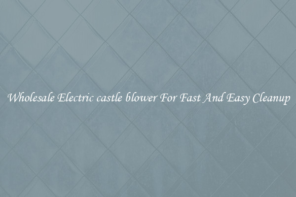 Wholesale Electric castle blower For Fast And Easy Cleanup