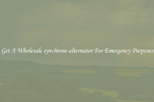 Get A Wholesale synchrone alternator For Emergency Purposes