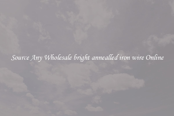 Source Any Wholesale bright annealled iron wire Online