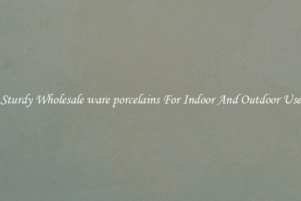 Sturdy Wholesale ware porcelains For Indoor And Outdoor Use