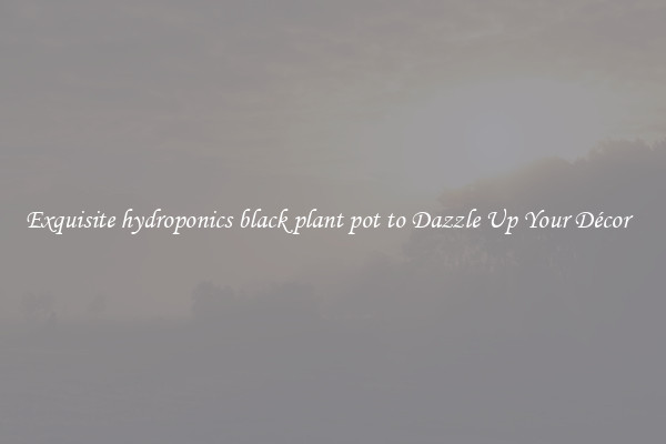 Exquisite hydroponics black plant pot to Dazzle Up Your Décor  