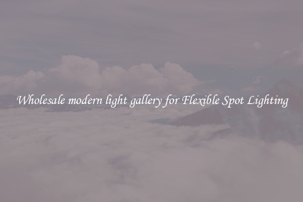 Wholesale modern light gallery for Flexible Spot Lighting