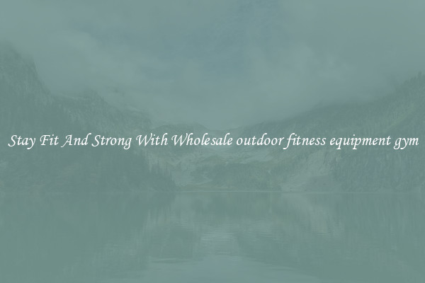 Stay Fit And Strong With Wholesale outdoor fitness equipment gym