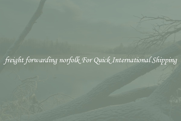 freight forwarding norfolk For Quick International Shipping