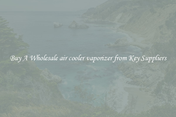 Buy A Wholesale air cooler vaporizer from Key Suppliers
