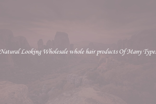 Natural Looking Wholesale whole hair products Of Many Types