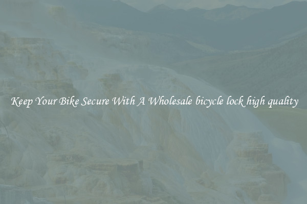 Keep Your Bike Secure With A Wholesale bicycle lock high quality