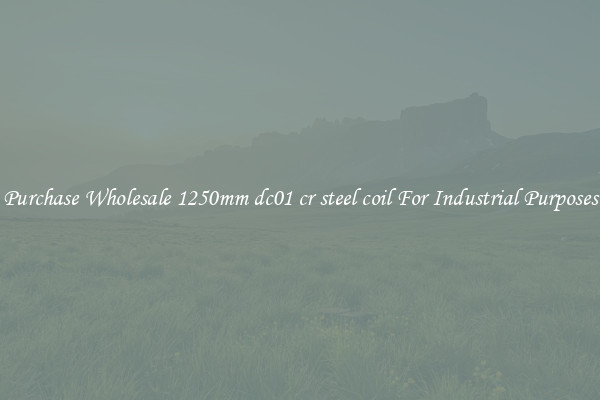 Purchase Wholesale 1250mm dc01 cr steel coil For Industrial Purposes