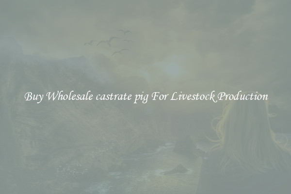 Buy Wholesale castrate pig For Livestock Production
