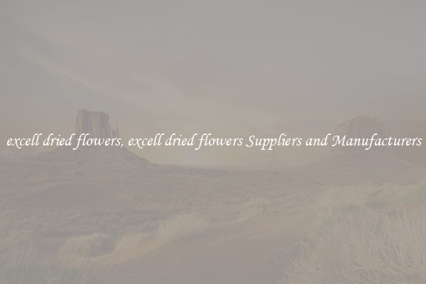 excell dried flowers, excell dried flowers Suppliers and Manufacturers