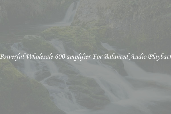 Powerful Wholesale 600 amplifier For Balanced Audio Playback
