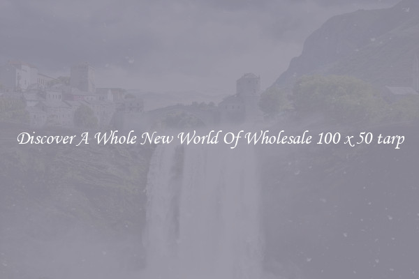 Discover A Whole New World Of Wholesale 100 x 50 tarp