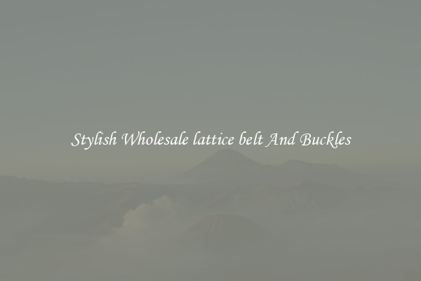 Stylish Wholesale lattice belt And Buckles