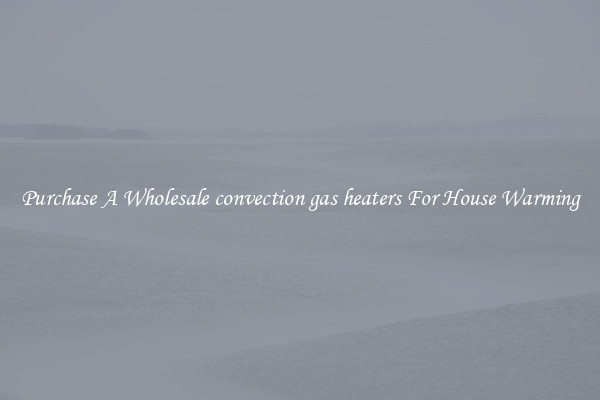 Purchase A Wholesale convection gas heaters For House Warming