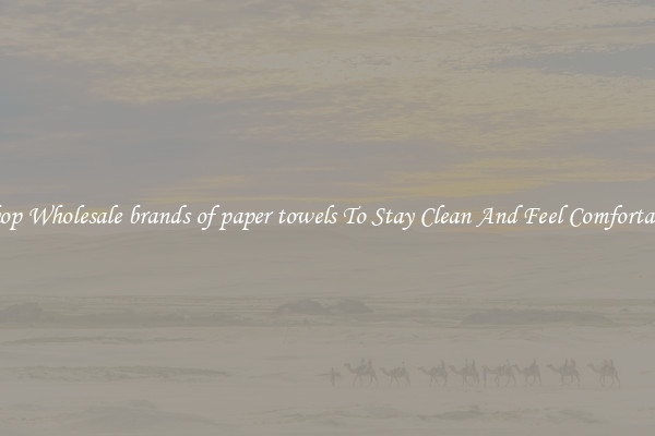 Shop Wholesale brands of paper towels To Stay Clean And Feel Comfortable