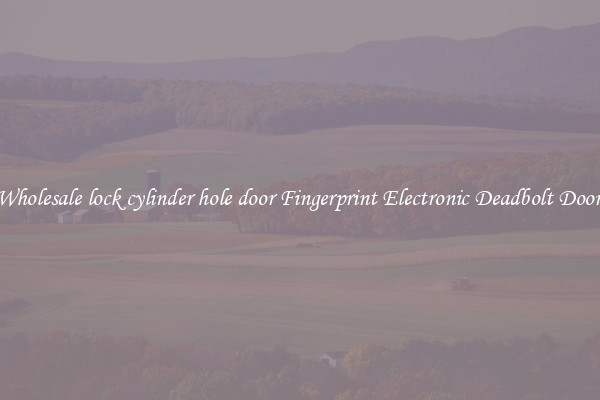 Wholesale lock cylinder hole door Fingerprint Electronic Deadbolt Door 